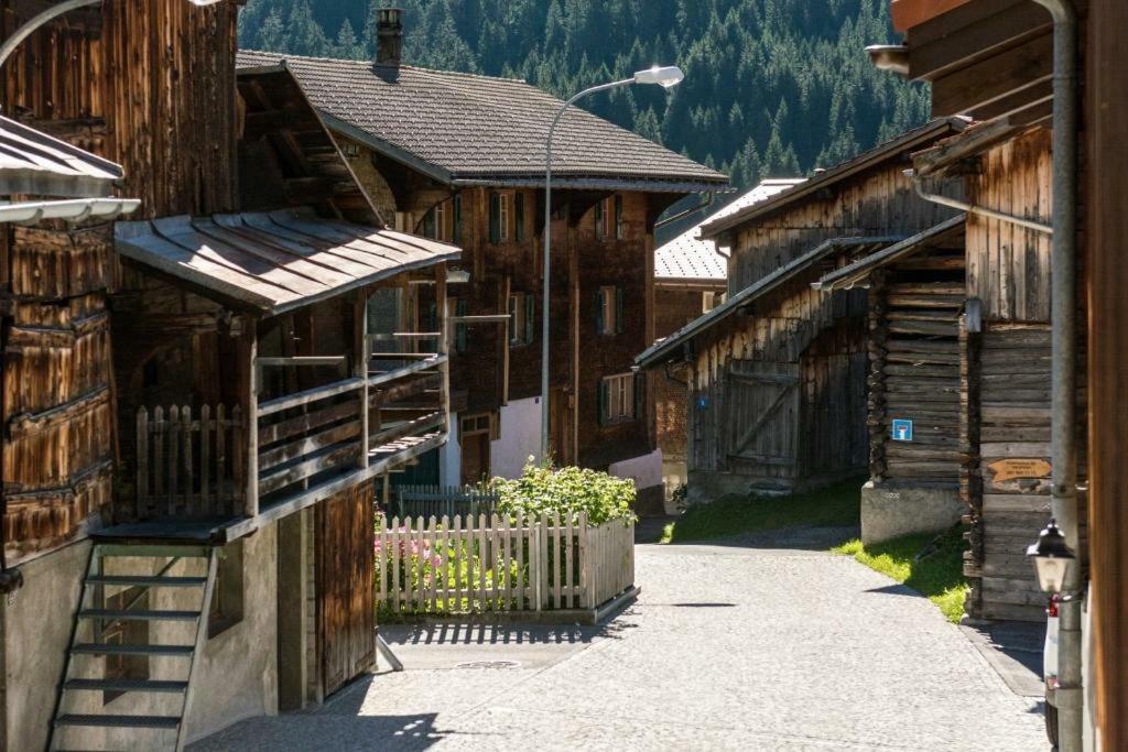 Disentis Mountain View Daire Dış mekan fotoğraf